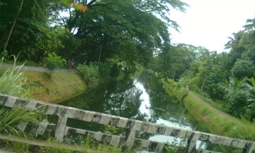 മുന്നറിയിപ്പ് അവഗണിച്ച് യുവത്വം; ചെറുകുന്നം കനാലില്‍ ഒടുവില്‍ മരണച്ചുഴിയും