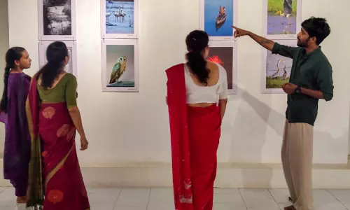കാഴ്ചകളുടെ കോൾപ്പാടം; ഗാലറിയിൽ ചിറകടിച്ച് ദേശാടനപ്പക്ഷികൾ