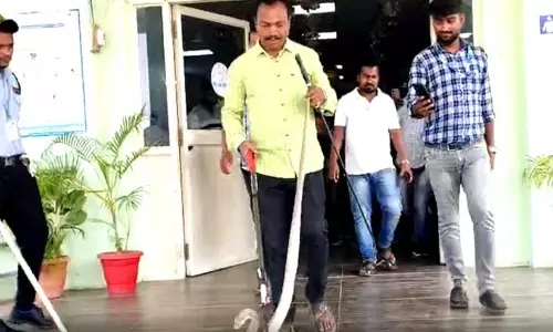 ജില്ല ആശുപത്രിയിൽ പത്തിവിടർത്തി രാജവെമ്പാല; ഭയന്നോടി പൂജാരിയും രോഗികളും