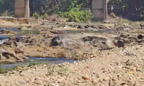 മണിമലയാർ വറ്റി വരണ്ടു; ആയിരക്കണക്കിന് കുടുംബങ്ങൾ പ്രതിസന്ധിയിൽ