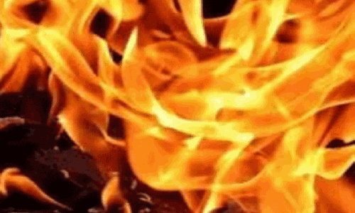 20 താമസ ഷെ​ഡു​ക​ൾ ക​ത്തി​ന​ശി​ച്ചു