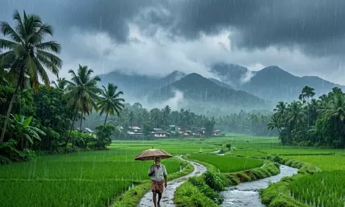 വേനൽമഴ ശക്തമാകുന്നു; ഇന്ന് മൂന്ന് ജില്ലകളിൽ യെല്ലോ അലർട്ട്