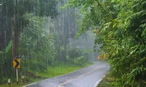 വേനൽമഴ കൂടുതൽ ജില്ലകളിലേക്ക്; ഇന്ന് ഏഴിടത്ത് യെല്ലോ അലർട്ട്