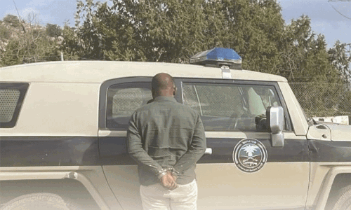 അതിർത്തി സുരക്ഷ നിയമലംഘകരെ കടത്തിയ വിദേശി പിടിയിൽ