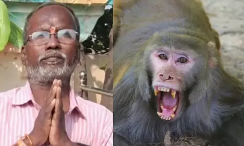 കുരങ്ങുകളുടെ ആക്രമണത്തിൽനിന്ന് രക്ഷപ്പെടാൻ ഓടി; തലയിടിച്ച് വീണ മധ്യവയസ്കന് ദാരുണാന്ത്യം