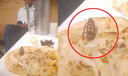 ബീഫ് കറിക്കൊപ്പം ചത്ത പാറ്റ; പരാതി നൽകി കൃഷി വകുപ്പ് ഉദ്യോഗസ്ഥൻ