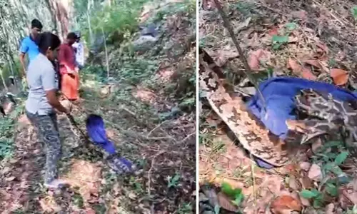ഭീതി പരത്തി കൂറ്റൻ പെരുമ്പാമ്പ്; രോഷ്നി എത്തി സാഹസികമായി പിടികൂടി
