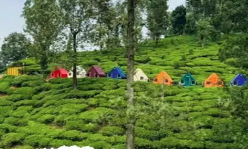 മിച്ചഭൂമിഏറ്റെടുക്കുന്നതിലും വിതരണം ചെയ്യുന്നതിലും ഗുരുതര വീഴ്ചയെന്ന് എ.ജി റിപ്പോർട്ട്