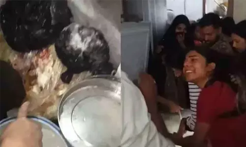 ഹോസ്റ്റലുകളിലെ ഭക്ഷണത്തിൽ പുഴുവും പാറ്റയും; ഭക്ഷ്യവിതരണ ഏജൻസിയുടെ ലൈസൻസ് സസ്‌പെൻഡ് ചെയ്തു