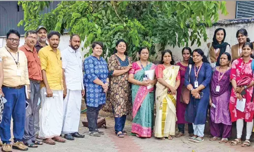 ചികുൻഗുനിയ: പരിശോധനയും ബോധവത്കരണവും ഊർജിതമാക്കി