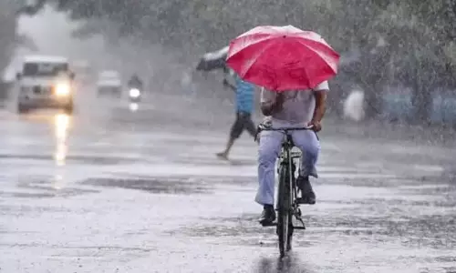 മഴ; ഉടുമ്പന്‍ചോലയിൽ വ്യാപക നാശം