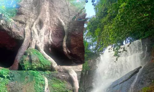 കൊച്ചരീക്കൽ ഗുഹ വഴി അരീക്കൽ വെള്ളച്ചാട്ടം കണ്ടാലോ....