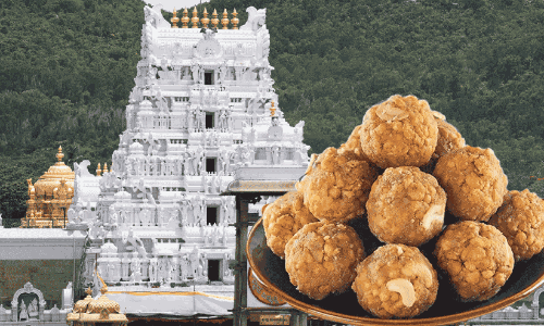 തിരുപ്പതി ലഡു വിവാദം: ഗുണനിലവാര പരിശോധനയില്ലാതെ വാങ്ങിയത് 70 ലക്ഷം കിലോ നെയ്യ്