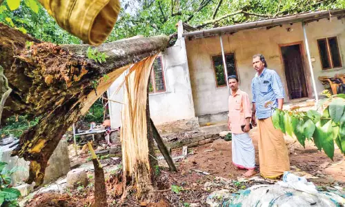 കാ​റ്റി​ൽ വ്യാ​പ​ക നാ​ശ​ം;   ര​ണ്ട് വീ​ടു​ക​ൾ ത​ക​ർ​ന്നു