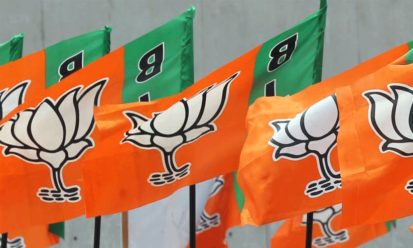 വയനാട്ടിൽ നില മെച്ചപ്പെടുത്തി എൻ.ഡി.എ വയനാട്ടിൽ നില മെച്ചപ്പെടുത്തി എൻ.ഡി.എ