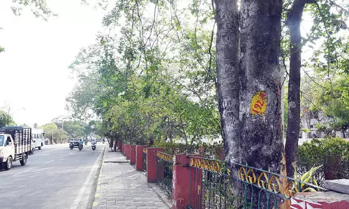 ഹൈ​വേ വി​ക​സ​ന പ​ദ്ധ​തി; മൈ​സൂ​രു​വി​ല്‍ 560 മ​ര​ങ്ങ​ൾ മു​റി​ച്ചു​മാ​റ്റും