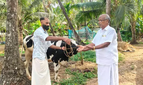 പാർട്ടി തോറ്റെങ്കിലും വാക്ക് ജയിച്ചു; പശുവിനെ കൈമാറി യുവാവ്