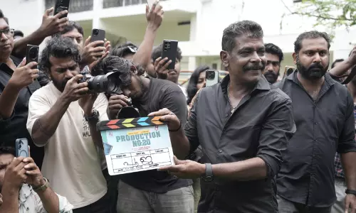 mollywood