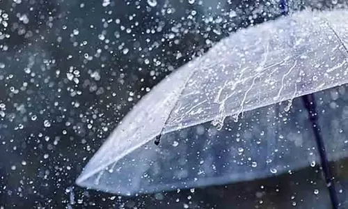 സംസ്ഥാനത്ത് നാല് ജില്ലകളില്‍ മഴ മുന്നറിയിപ്പ്: യെല്ലോ അലര്‍ട്ട് പ്രഖ്യാപിച്ചു