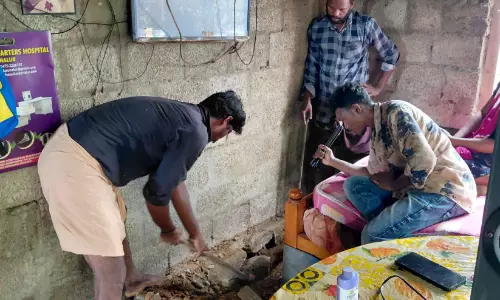 ഉറങ്ങിക്കിടന്ന പെൺകുട്ടിക്ക്   പാമ്പ് കടിയേറ്റു