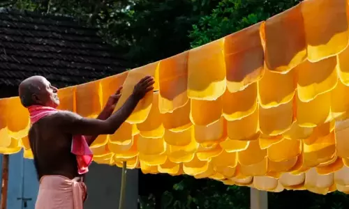 റബർ വില റെക്കോഡിൽ; നേട്ടമില്ലാതെ കർഷകർ