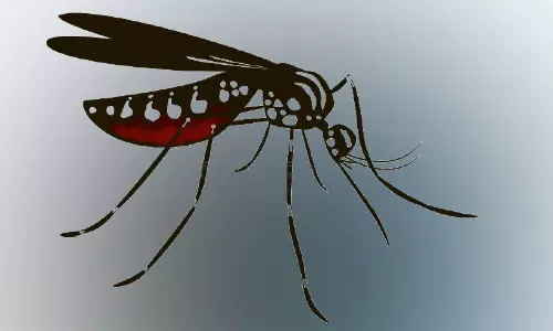 വള്ളിക്കുന്നിൽ ഡെങ്കിപ്പനി; ഞായറാഴ്ച വാർഡിൽ പൊതു ശുചീകരണം നടത്തും