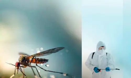കൊതുകുജന്യ രോഗങ്ങൾക്കെതിരെ ജാഗ്രത; മുനിസിപ്പാലിറ്റി മന്ത്രാലയം പ്രതിരോധ നടപടികൾ ശക്തമാക്കുന്നു