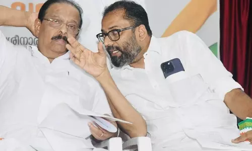 mla