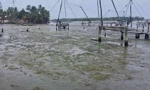 എക്കൽ നിറഞ്ഞ് കായലുകൾ, കരയിലകപ്പെട്ട് ചീനവലകൾ എക്കൽ നിറഞ്ഞ് കായലുകൾ, കരയിലകപ്പെട്ട് ചീനവലകൾ