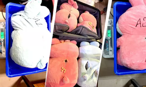 seized soft toys