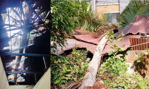 ശക്തമായ കാറ്റും മഴയും; മടവൂരിൽ വ്യാപക നാശനഷ്ടം