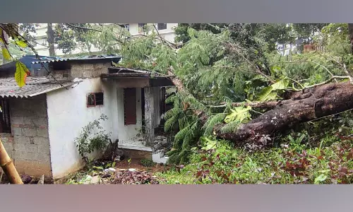 വേനൽമഴക്കൊപ്പം നാശംവിതച്ച് കാറ്റ്; മലയോര മേഖലയിൽ വ്യാപക നഷ്ടം