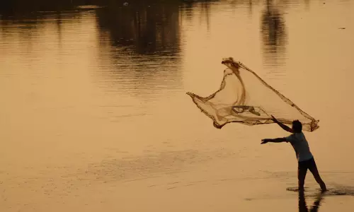 ഊത്തപിടിത്തം: കർശന നടപടിയെന്ന് ഫിഷറീസ് വകുപ്പ്
