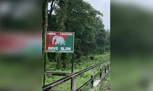 വ​ന്യ​ജീ​വി ആ​ക്ര​മ​ണം: പ്ര​തി​രോ​ധ​ത്തി​ന്​   അ​ന്ത​ർ​സം​സ്ഥാ​ന കോ​ഓ​ഡി​നേ​ഷ​ൻ ക​മ്മി​റ്റി