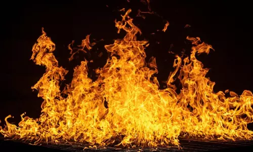ആൽമരത്തിൽ പടക്കം കെട്ടിയിട്ട് പൊട്ടിച്ചു: അഗ്നിരക്ഷസേനയെത്തി തീയണച്ചു