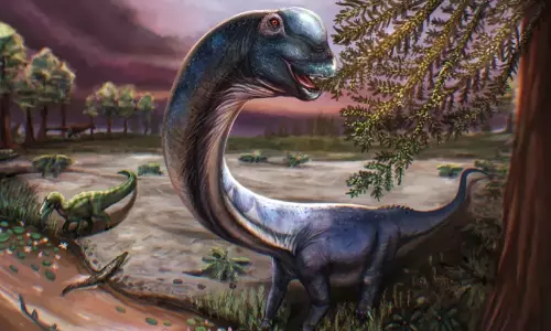 dinosaur