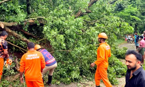 കാറ്റിലും മഴയിലും വൻനാശം; മരങ്ങൾ കടപുഴകി, ഗതാഗതം തടസ്സപ്പെട്ടു