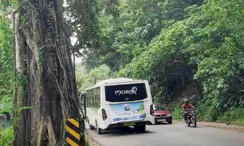 മഴക്കെടുതി; മലയോരമേഖലയിൽ മുന്നൊരുക്കമായില്ല