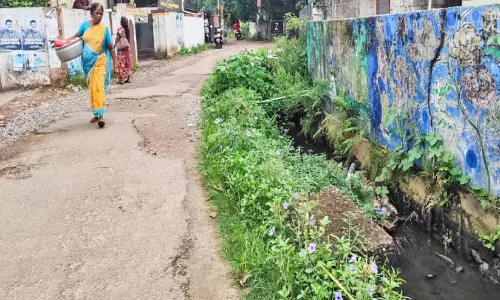 ചാത്തനാട് ഓടയിൽ ജീവൻ പൊലിയുന്നത് ആദ്യം; നടുക്കംമാറാതെ നാട്ടുകാർ ചാത്തനാട് ഓടയിൽ ജീവൻ പൊലിയുന്നത് ആദ്യം; നടുക്കംമാറാതെ നാട്ടുകാർ