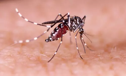ഡെങ്കിപ്പനി; അഞ്ചുമാസത്തിനിടെ റിപ്പോർട്ട് ചെയ്തത് 237 കേസുകൾ
