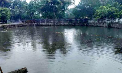 നാടൊന്നിച്ചു; വെട്ടിശ്ശേരി കുളം ക്ലീൻ