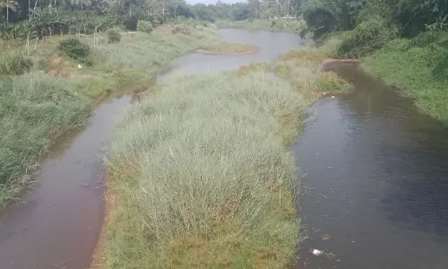 മണൽ ഖനനം; വീതി കുറഞ്ഞ് ആദിപമ്പ തോടായി