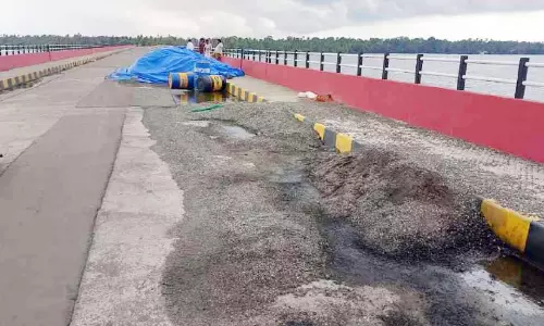ആളും ആരവവും ഒഴിയുന്നു; അനാഥമാകുമോ പെരുമ്പളം പാലം? ആളും ആരവവും ഒഴിയുന്നു; അനാഥമാകുമോ പെരുമ്പളം പാലം?