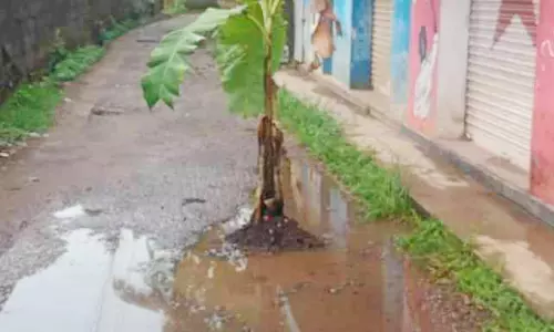 റോഡ് കുളമായി; നാട്ടുകാർ വാഴനട്ട് പ്രതിഷേധിച്ചു