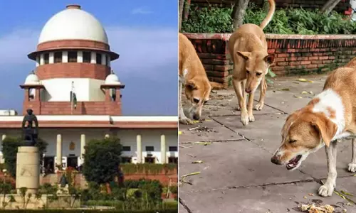 തെരുവ് നായ ആക്രമണം: സുപ്രീം കോടതിയുടെ വിധി ഇന്ന്