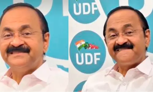കൂൾ മുഖ്യമന്ത്രി തരംഗം; വൈറൽ എക്സ്പ്രഷന് പിന്നിലെ കാരണം വെളിപ്പെടുത്തി വി.ഡി സതീശൻ
