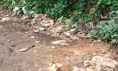 ശു​ചീ​ക​ര​ണം താ​ളം തെ​റ്റി;  പാ​ത​യോ​ര​ങ്ങ​ളി​ൽ   മാ​ലി​ന്യ​ക്കൂ​മ്പാ​രം