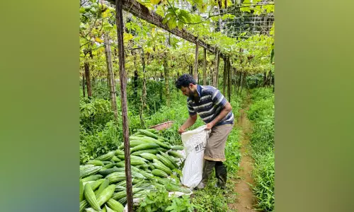 നാ​ട​ന്‍ വി​ത്തു​ക​ളി​ല്‍ ജൈ​വ വ​സ​ന്തം തീ​ർ​ത്ത് അ​ഷ്‌​റ​ഫി​ന്റെ കൃ​ഷി