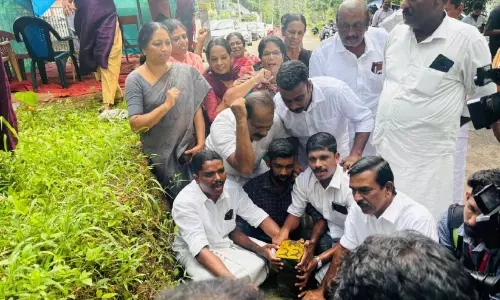 മഞ്ഞക്കുറ്റികൾ പിഴുതെറിഞ്ഞ് മാടപ്പള്ളിയിൽ ആഹ്ലാദം