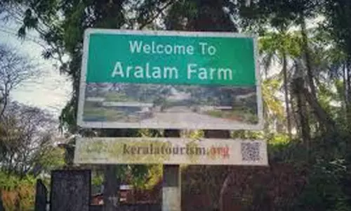 പട്ടയമുണ്ട്, ഭൂമിയില്ല; ആറളത്ത് പുനരധിവാസ കുരുക്ക്